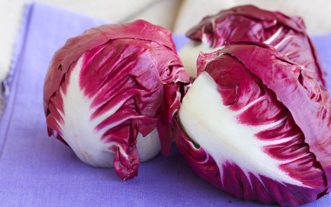 Lasagne integrali al radicchio