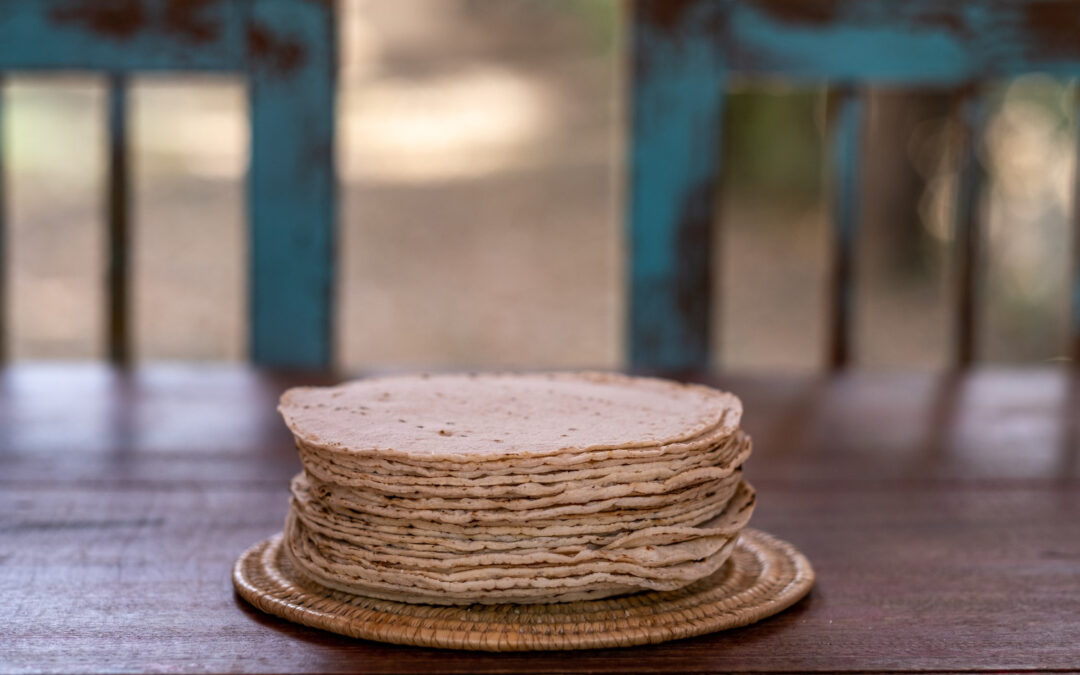 Piadine con semi di chia