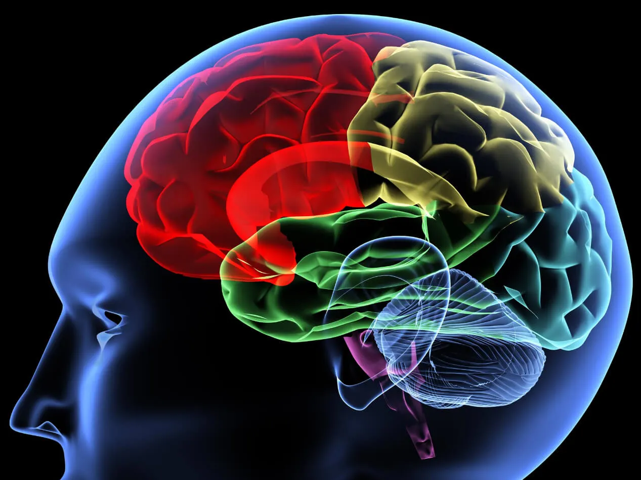 ipoglicemia sintomi neurologici le cause ipoglicemia sintomi neurologici le cause