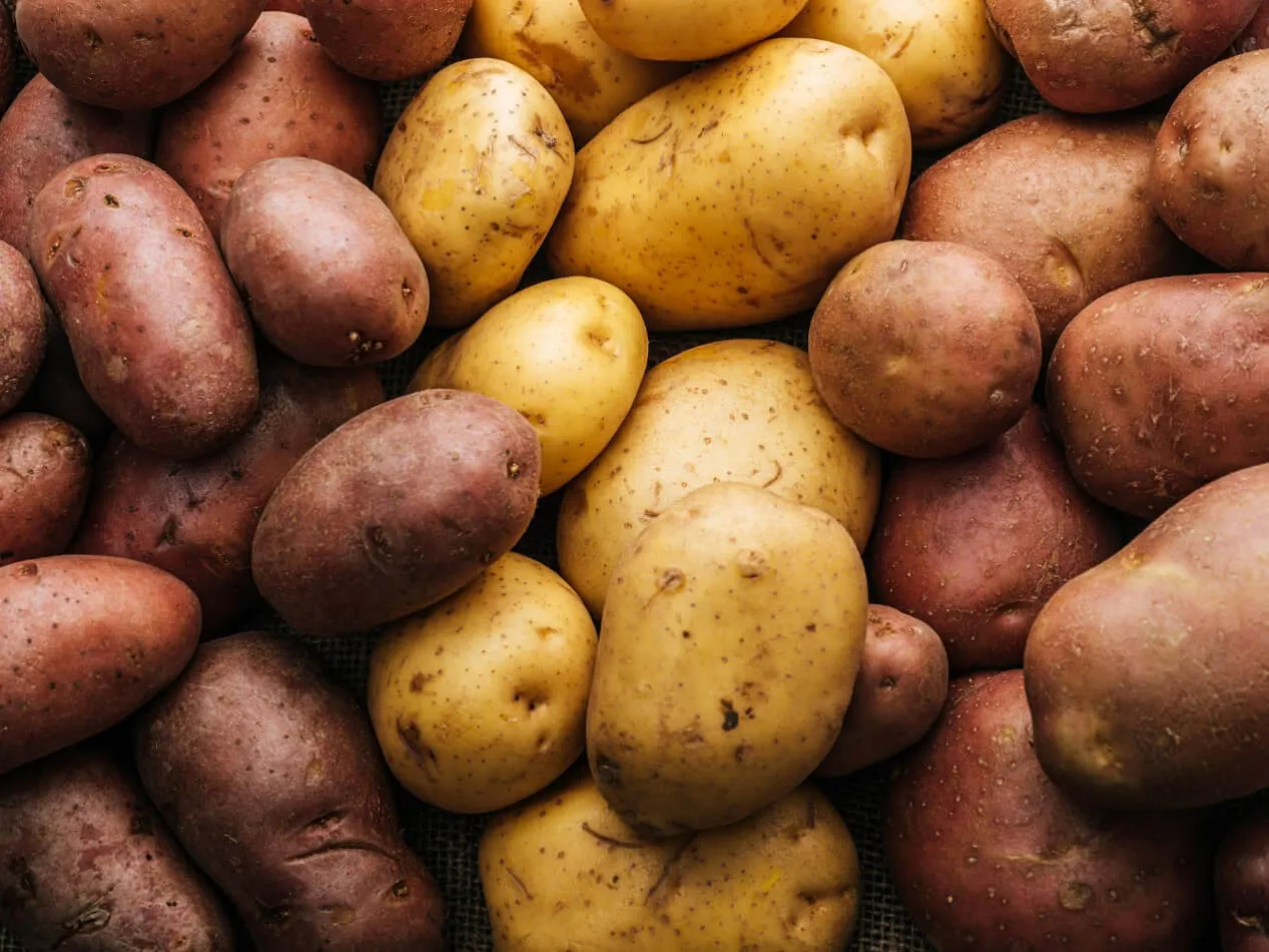 Patate e diabete Patate e diabete