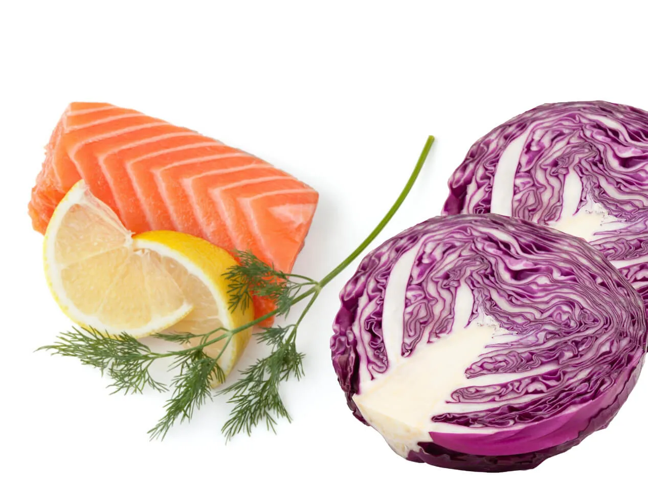 Salmone fresco su letto di cavolo rosso Salmone fresco su letto di cavolo rosso