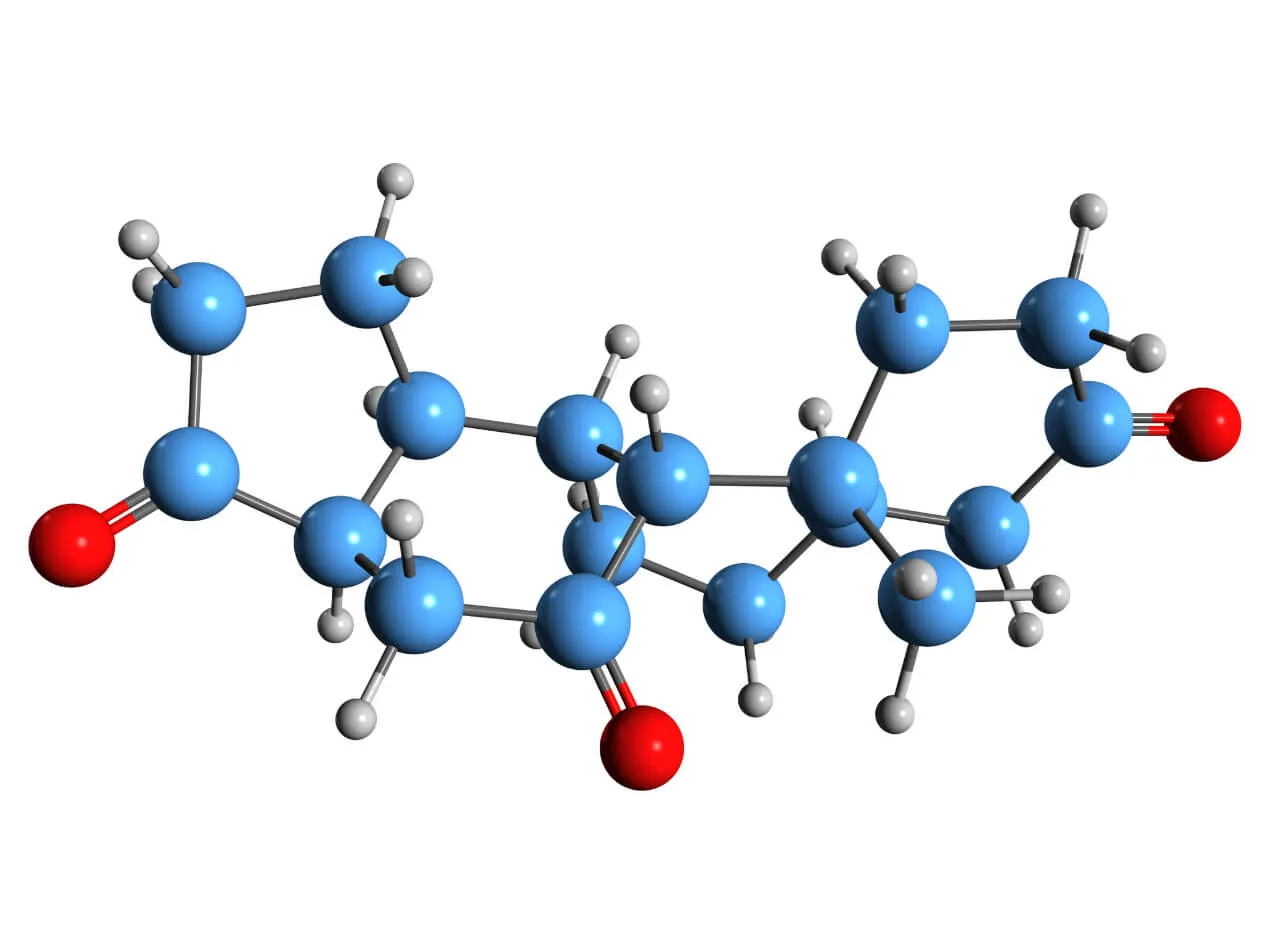Insulina e cortisone il ruolo del cortisone Insulina e cortisone il ruolo del cortisone