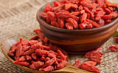 Spaghetti con zucchine e bacche di Goji