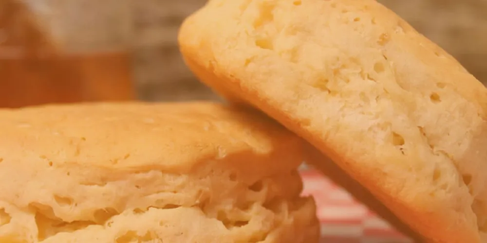 ricetta focaccine in padella alla zucca ricetta focaccine in padella alla zucca