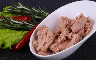 Tonno e cracker rivisitato