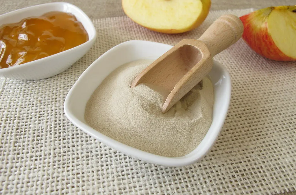 Agar Agar e ricetta cheesecake a basso indice glicemico