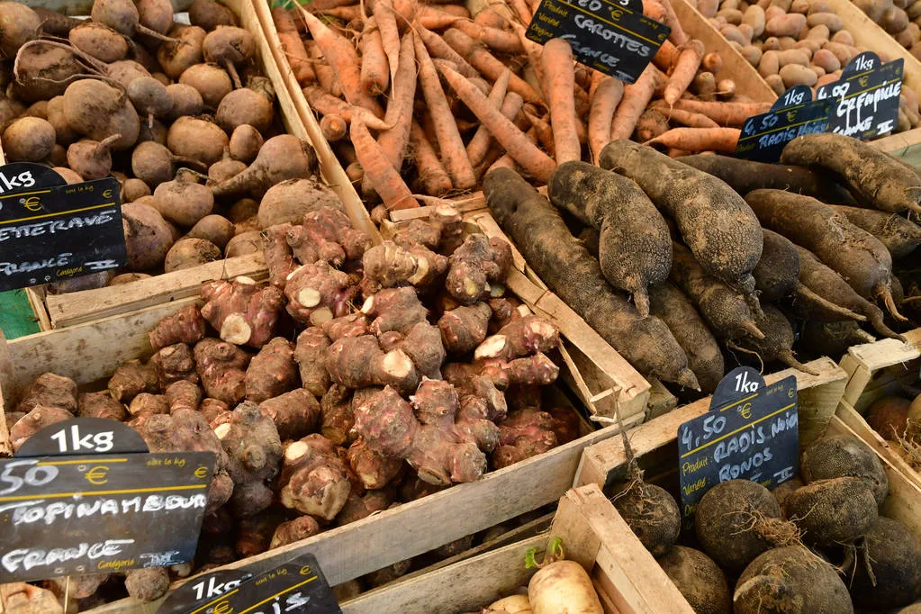 Glicemia Topinambur tocco di storia