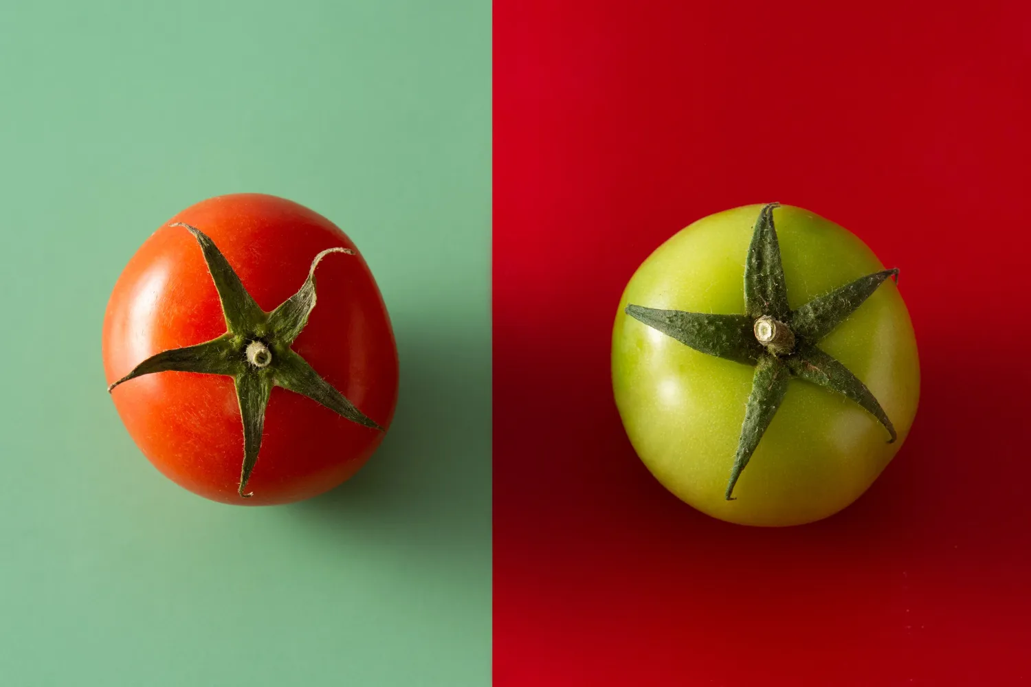 Glicemia Pomodori Pro E Contro